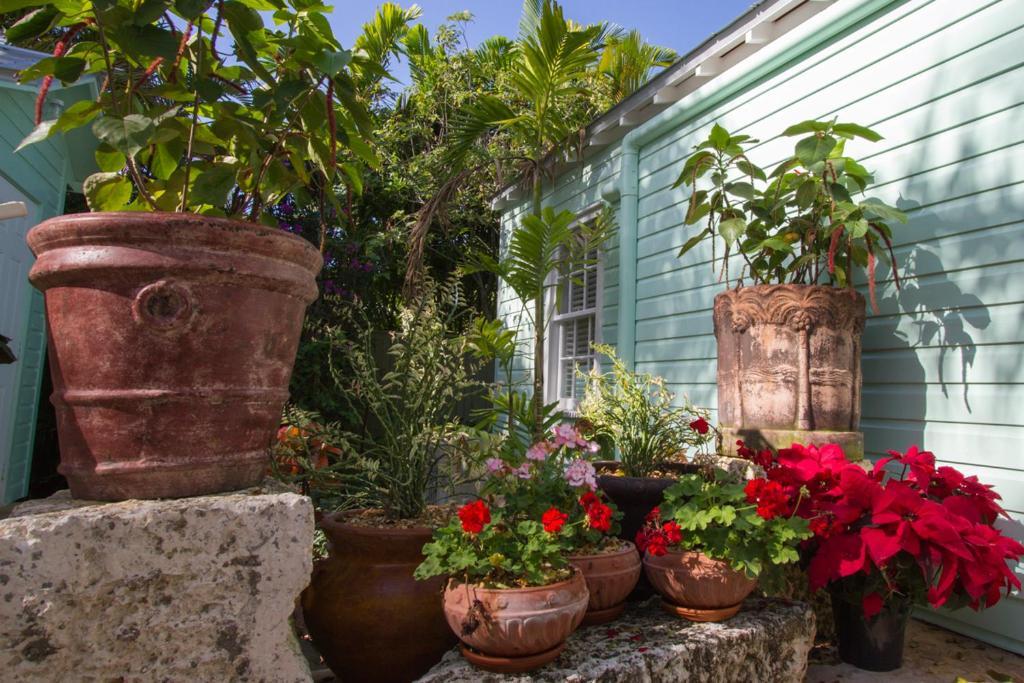 Villa Conch Cottages Of Villas