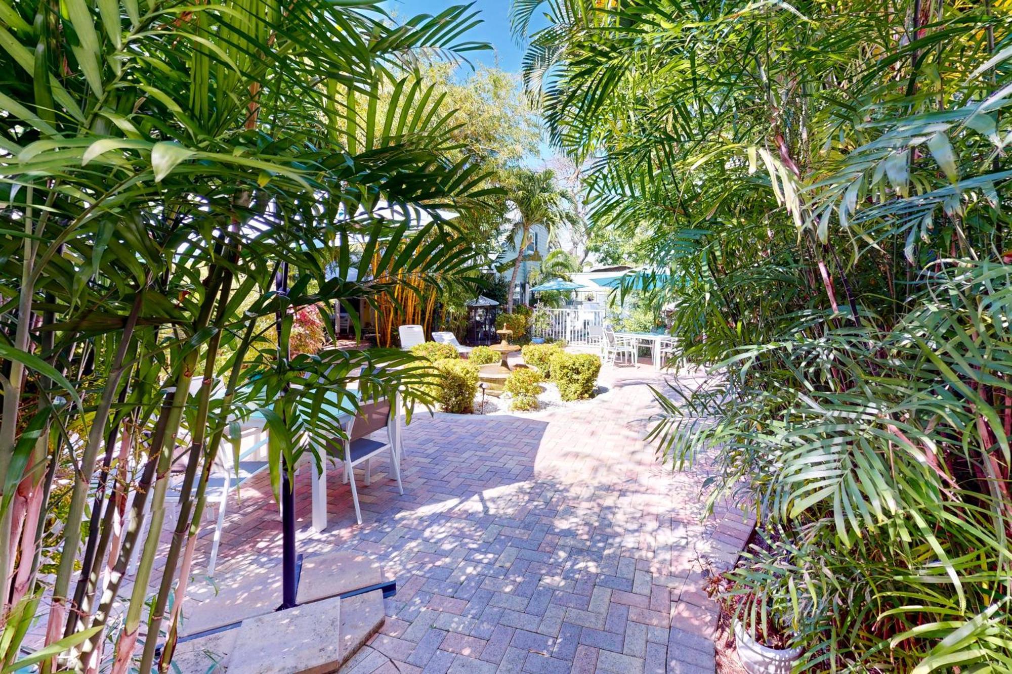Old Town Garden - Andros *