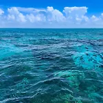 Sunrise Suites Antigua Suite #312