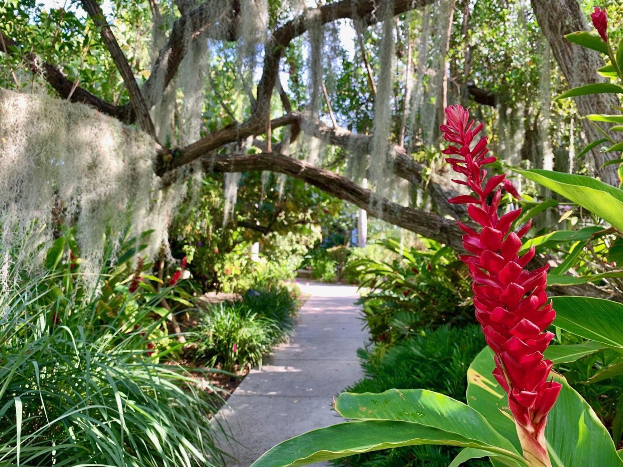 Beautifully Renovated Summer Of 2020 And Enjoy Lovely Unit Key West