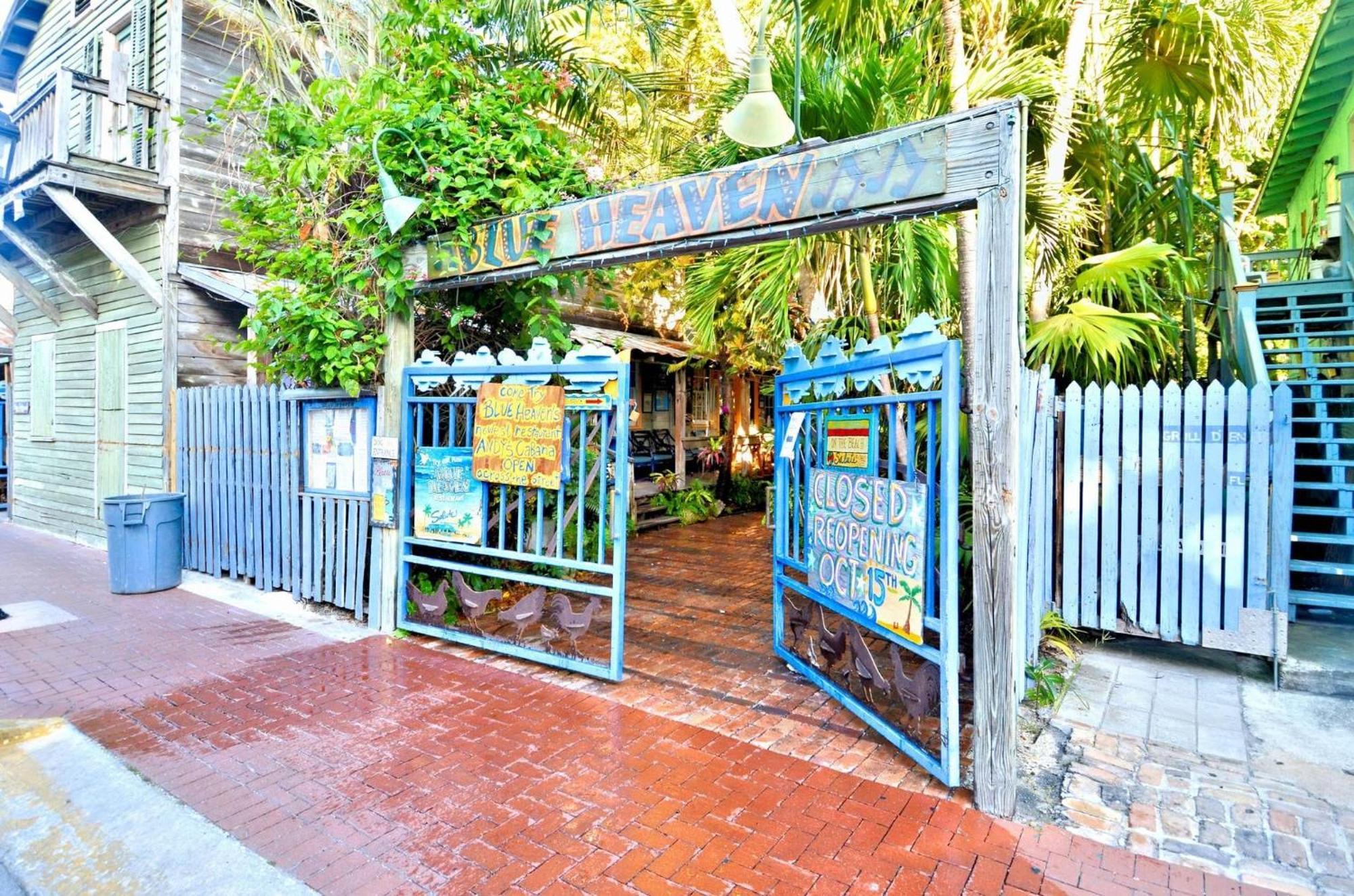 Lavender Jungle By Avantstay Great Location W Patio Shared Pool Week Long Only Holiday home Key West