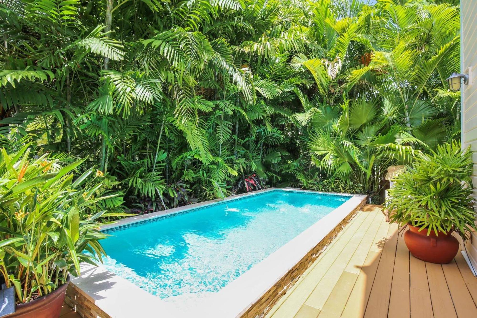 Serenity By Avantstay In Old Town W Shared Pool Month Long Only *