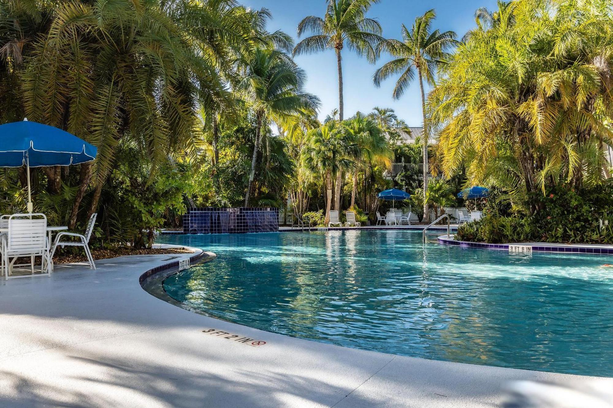 Island Oasis *