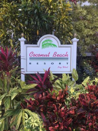 Apartment Coconut *