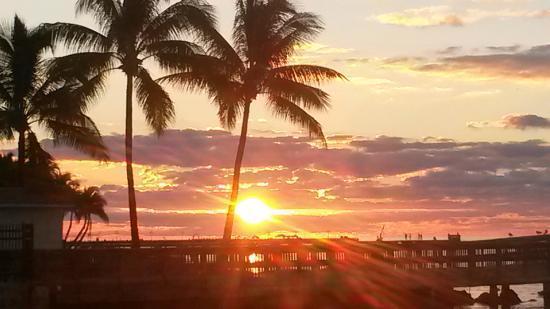 Coconut * Key West