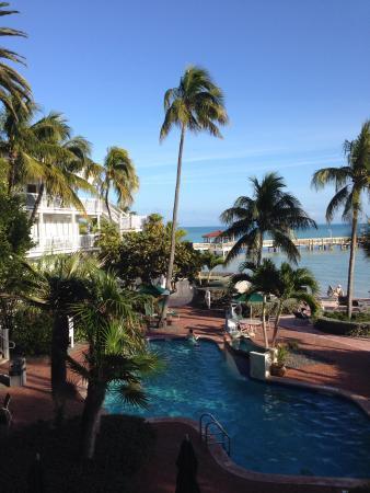 Coconut * Key West