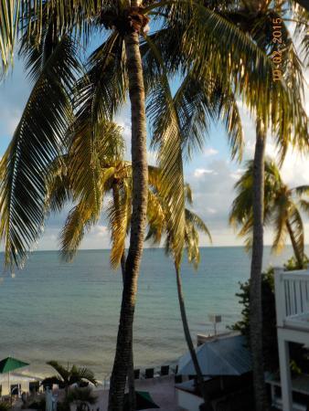 Coconut