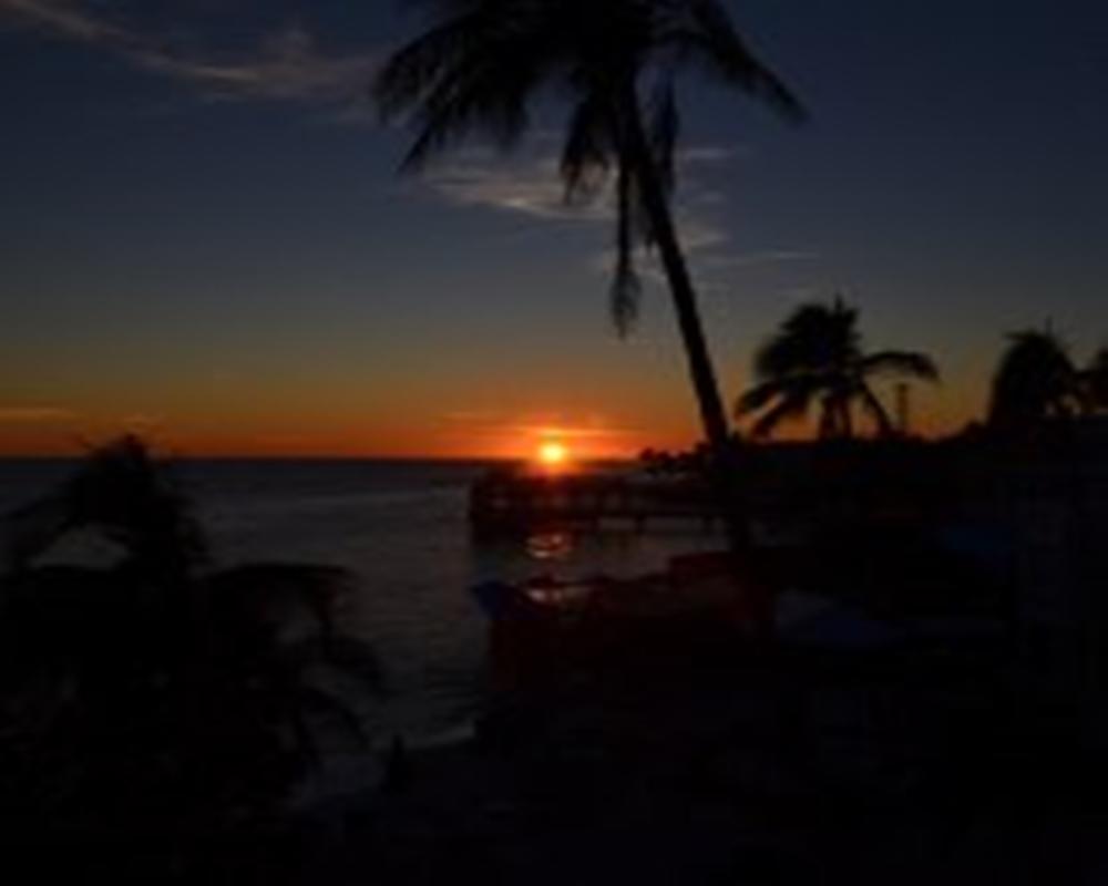 Coconut Apartment Key West
