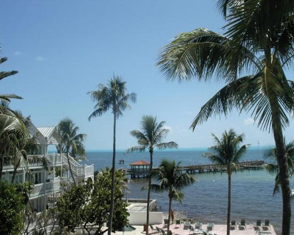 Coconut Apartment