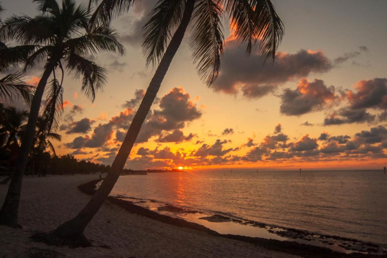 Apartment Sunrise Saint Croix #212 *